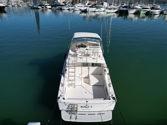 Bertram SPORT FISHERMAN 33 usata in vendita