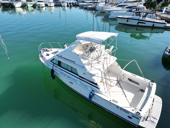 Bertram SPORT FISHERMAN 33 usata in vendita