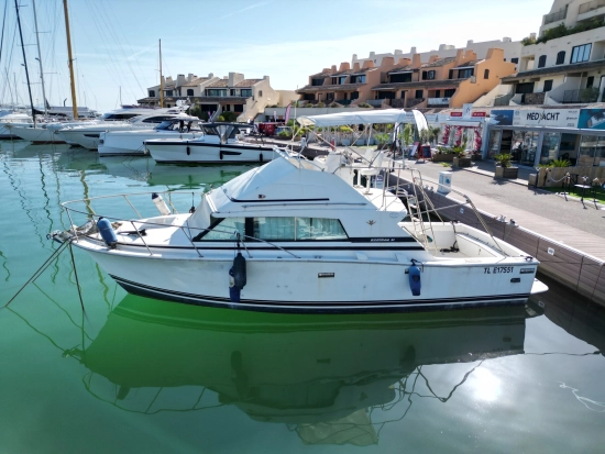 Bertram SPORT FISHERMAN 33 usata in vendita