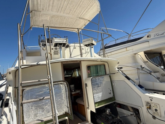 Bertram SPORT FISHERMAN 33 usata in vendita