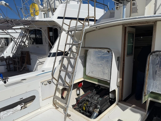 Bertram SPORT FISHERMAN 33 usata in vendita