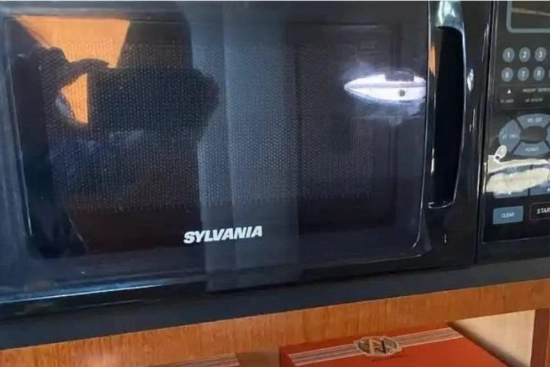 Sea Ray Sundancer 240 de segunda mano en venta
