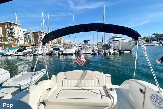 Sea Ray Sundancer 240 de segunda mano en venta