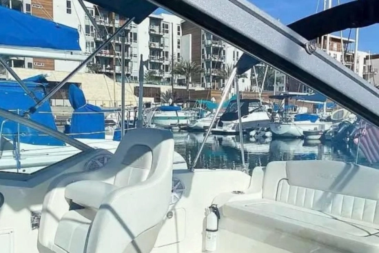 Sea Ray Sundancer 240 de segunda mano en venta