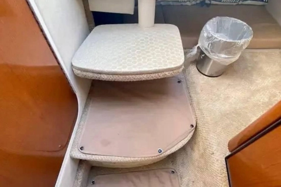 Sea Ray Sundancer 240 de segunda mano en venta