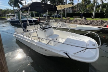 Boston Whaler 170 Dauntless usata in vendita