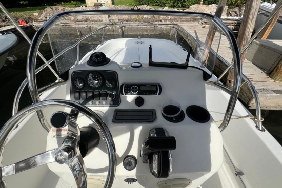 Boston Whaler 170 Dauntless usata in vendita