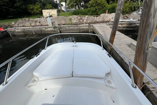 Boston Whaler 170 Dauntless usata in vendita