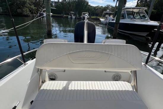 Boston Whaler 170 Dauntless usata in vendita