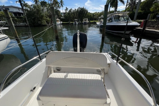 Boston Whaler 170 Dauntless usata in vendita