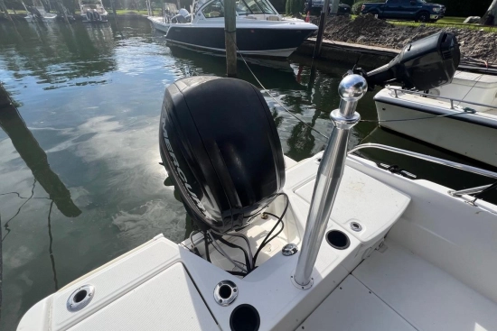 Boston Whaler 170 Dauntless usata in vendita