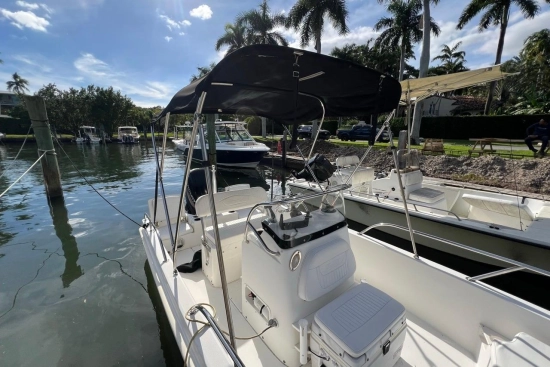Boston Whaler 170 Dauntless usata in vendita