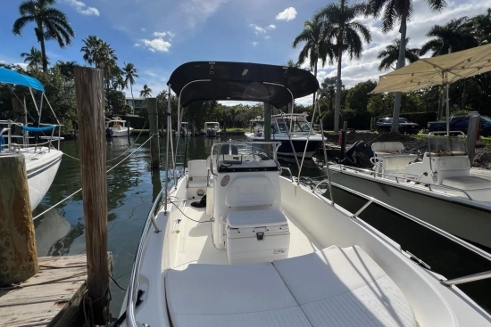 Boston Whaler 170 Dauntless usata in vendita