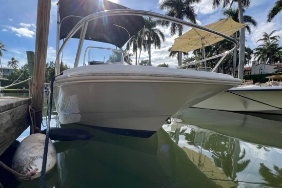 Boston Whaler 170 Dauntless usata in vendita