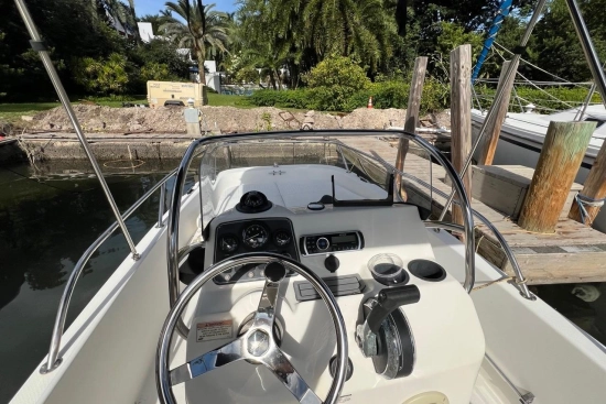 Boston Whaler 170 Dauntless usata in vendita