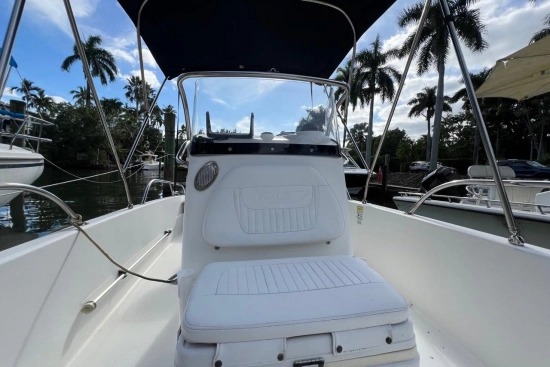 Boston Whaler 170 Dauntless usata in vendita