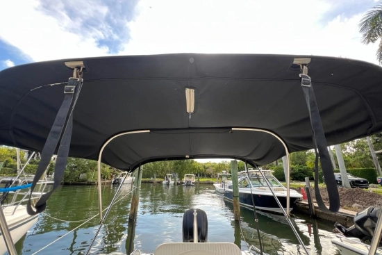 Boston Whaler 170 Dauntless usata in vendita