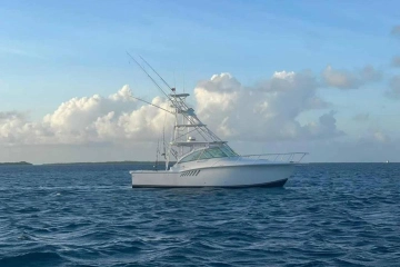 Albemarle 360 Express Fisherman usado à venda