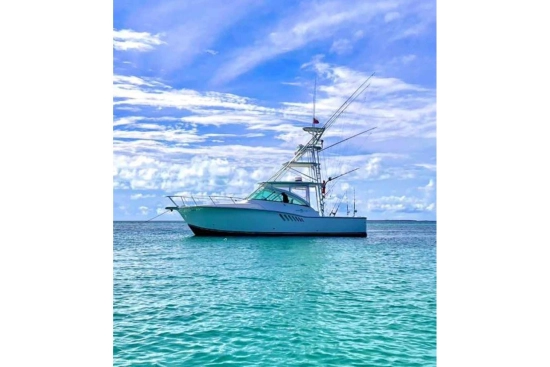 Albemarle 360 Express Fisherman usado à venda