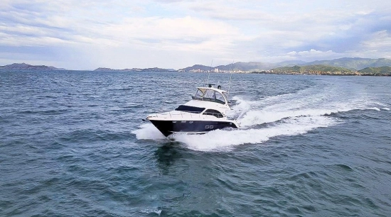 Sea Ray Sedan Bridge de segunda mano en venta