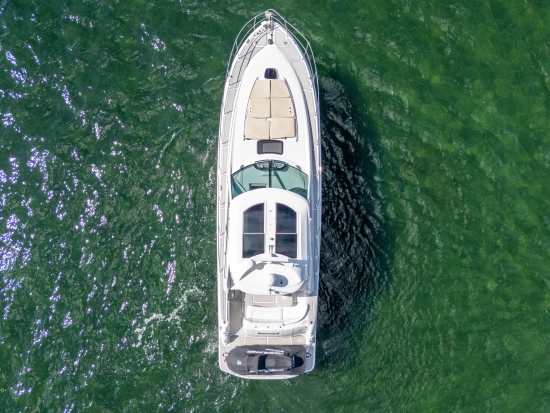 Sea Ray Sundancer 500 de segunda mano en venta
