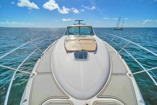 Sea Ray Sundancer 500 de segunda mano en venta