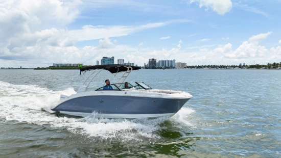 Sea Ray SDX 270 Outboard de segunda mano en venta