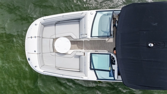 Sea Ray SDX 270 Outboard de segunda mano en venta