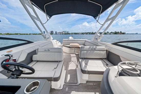 Sea Ray SDX 270 Outboard de segunda mano en venta