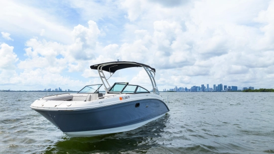 Sea Ray SDX 270 Outboard de segunda mano en venta