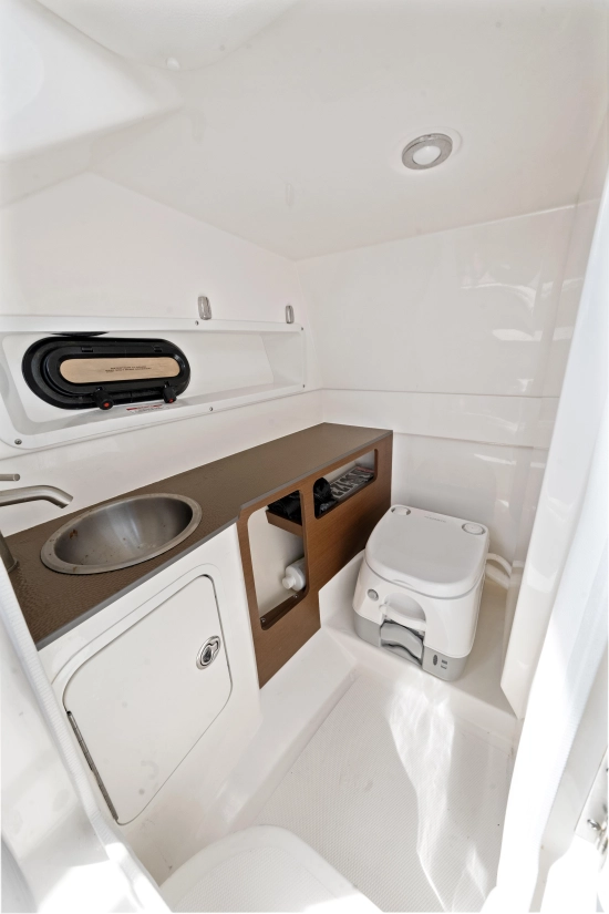 Sea Ray SDX 270 Outboard de segunda mano en venta