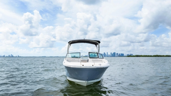 Sea Ray SDX 270 Outboard de segunda mano en venta