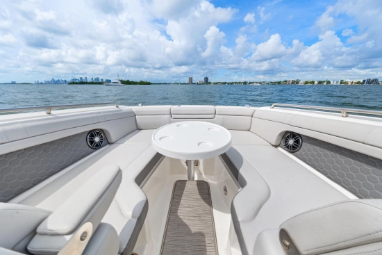 Sea Ray SDX 270 Outboard de segunda mano en venta