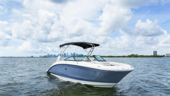 Sea Ray SDX 270 Outboard de segunda mano en venta