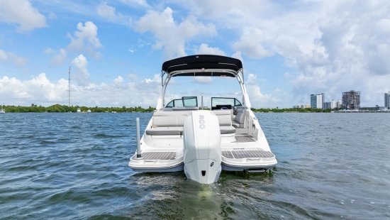 Sea Ray SDX 270 Outboard de segunda mano en venta