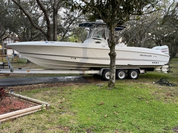 Wellcraft 32 Scarab Sport usado à venda