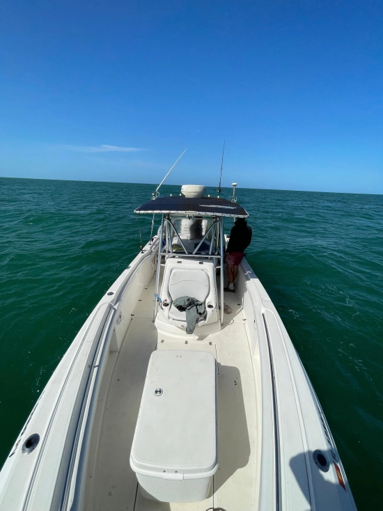 Wellcraft 32 Scarab Sport de segunda mano en venta