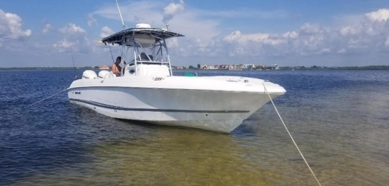 Wellcraft 32 Scarab Sport de segunda mano en venta