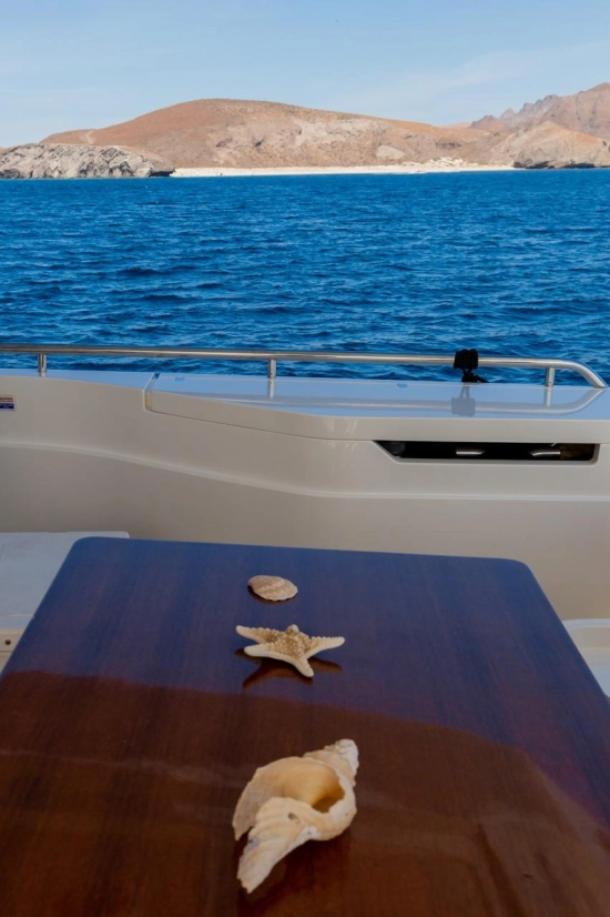 Ferretti 720 de segunda mano en venta