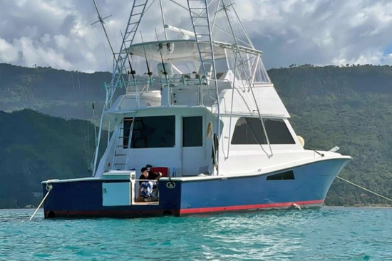 Viking Yachts 58 Convertible de segunda mano en venta
