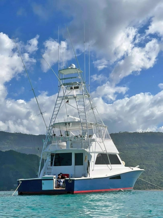 Viking Yachts 58 Convertible de segunda mano en venta