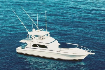 Bertram 60 Convertible usata in vendita