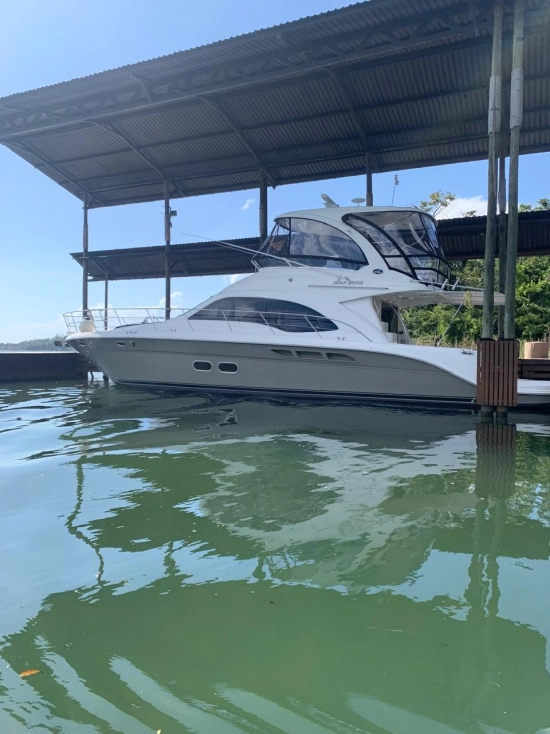 Sea Ray 52 Sedan Bridge de segunda mano en venta