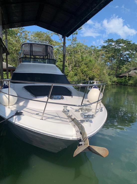 Sea Ray 52 Sedan Bridge de segunda mano en venta