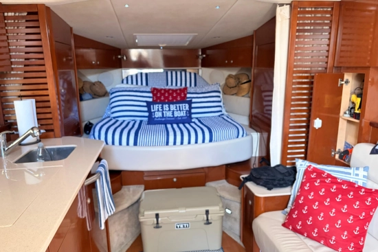 Sea Ray Sundancer 350 usado à venda