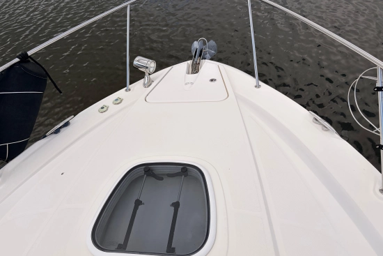 Sea Ray Sundancer 350 usado à venda
