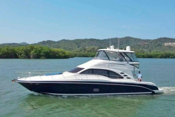 Sea Ray Sedan Bridge usata in vendita