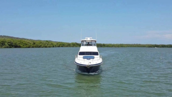 Sea Ray Sedan Bridge de segunda mano en venta