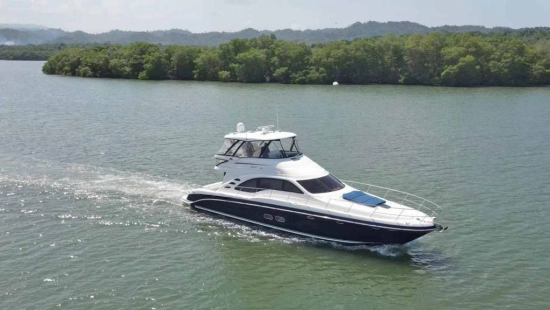 Sea Ray Sedan Bridge de segunda mano en venta