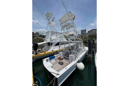 Predator 35 Express usata in vendita
